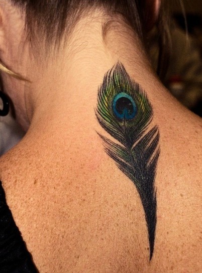 Pluma Ojo de Pavo Real