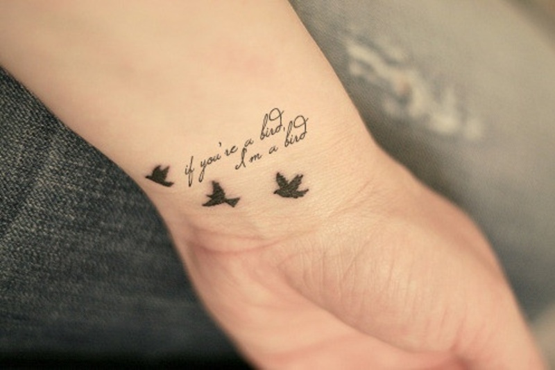 Aves y Frase: If you´re a bird, I´m a bird