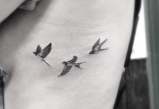 Aves by Brian Woo