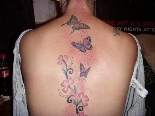Flores y Mariposas