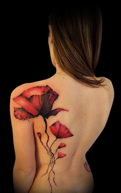 Flores de Amapola by Aurelio