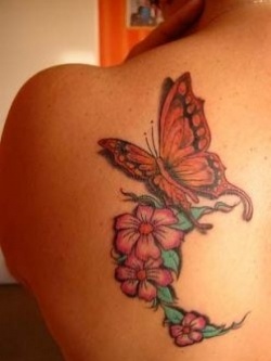 Mariposa y Flores Rosas
