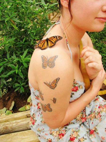 Mariposas naranjas posadas