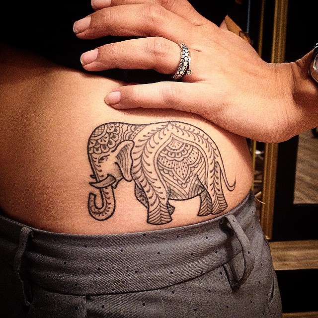 Elefante hindú by Pedro Contessoto