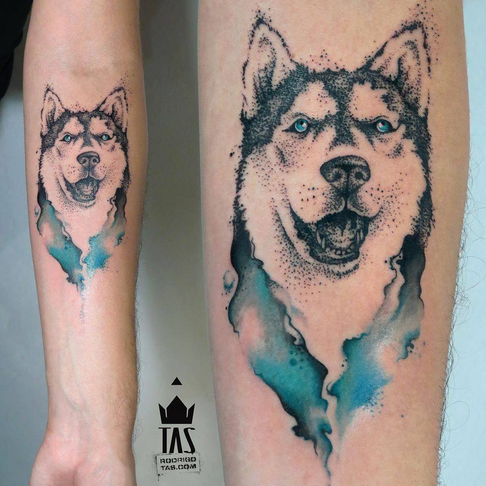 Lobo en Acuarelas by Rodrigo Tas